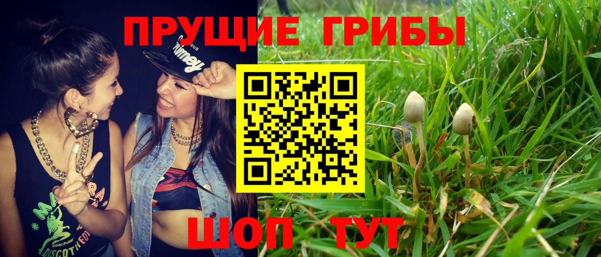 Псилоцибиновые грибы Magic Shrooms Коряжма